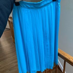 Brand New J Crew Skirt